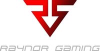 Raynor Gaming coupons